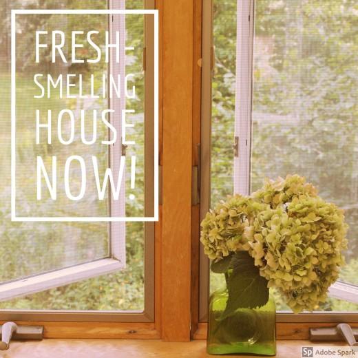 Essential Oil Life Hacks You Need in Your Life - ZAQ Skin & Body