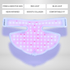 Noor 2.0 LED Light Therapy Neck & Chest Mask