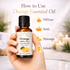 Hand holding a bottle of ZAO Orange essential oil with usage instructions on a blurred background.