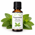 Bottle of ZAQ Peppermint essential oil with peppermint leaves on a white background