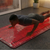 Person doing push-ups on a red LED mat in a room with a plant and painting.