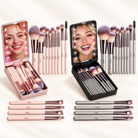 ZAQ 14-Piece Mini Makeup Brush Set with LED Light Mirror