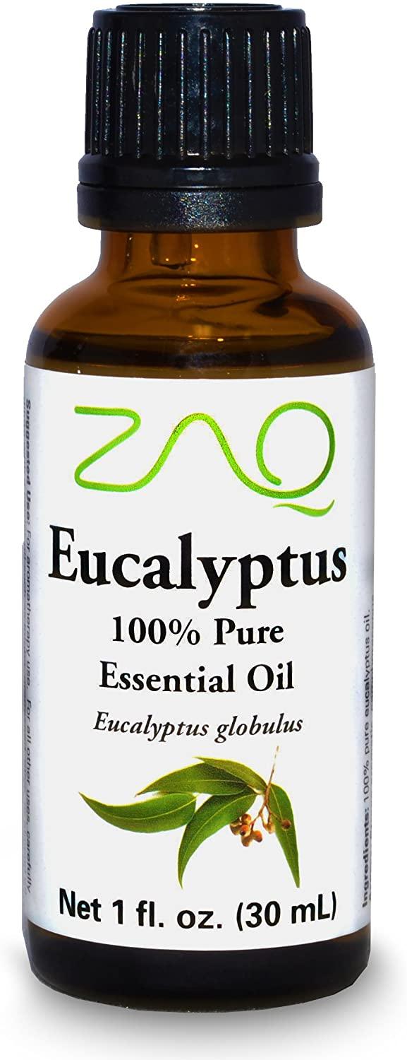 Eucalyptus - ZAQ